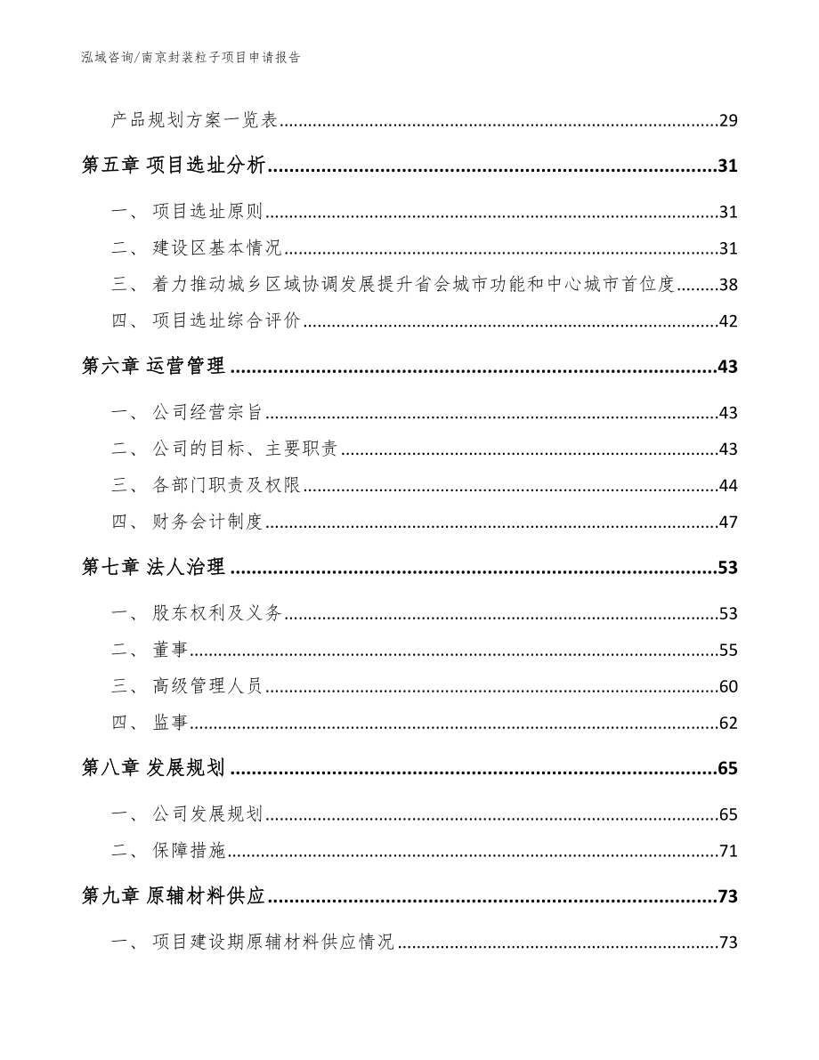 南京封装粒子项目申请报告_第2页