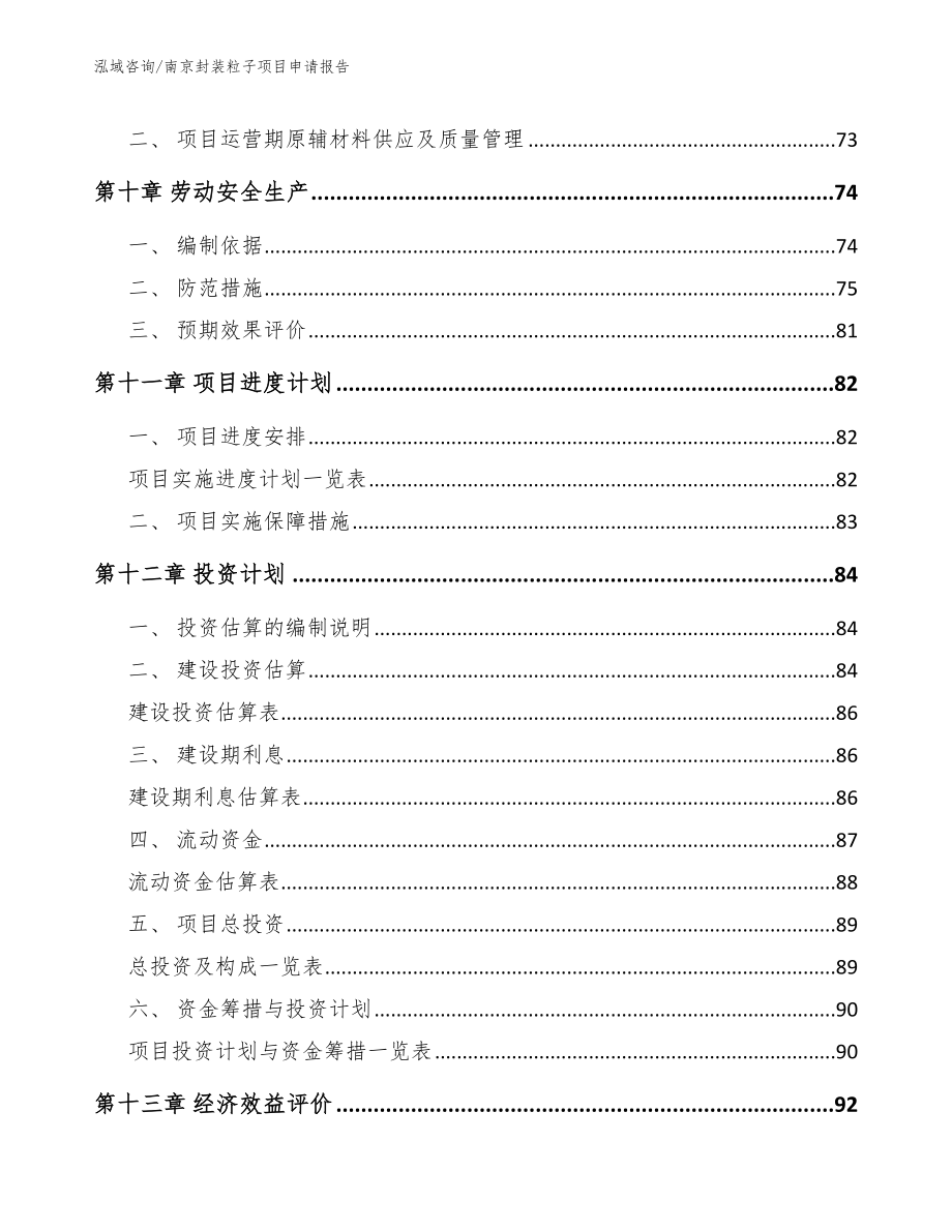 南京封装粒子项目申请报告_第3页