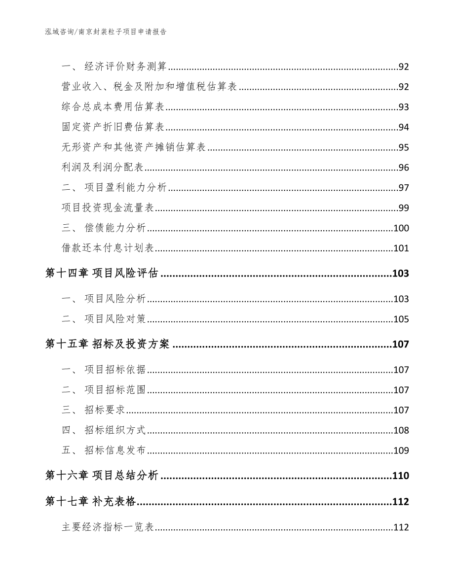 南京封装粒子项目申请报告_第4页
