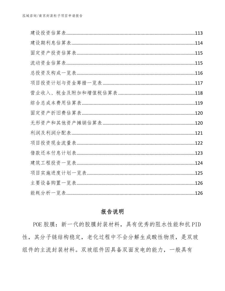 南京封装粒子项目申请报告_第5页