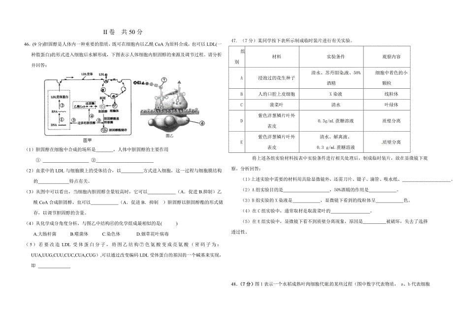 武安市第一中学高三年级十月月考.doc_第5页