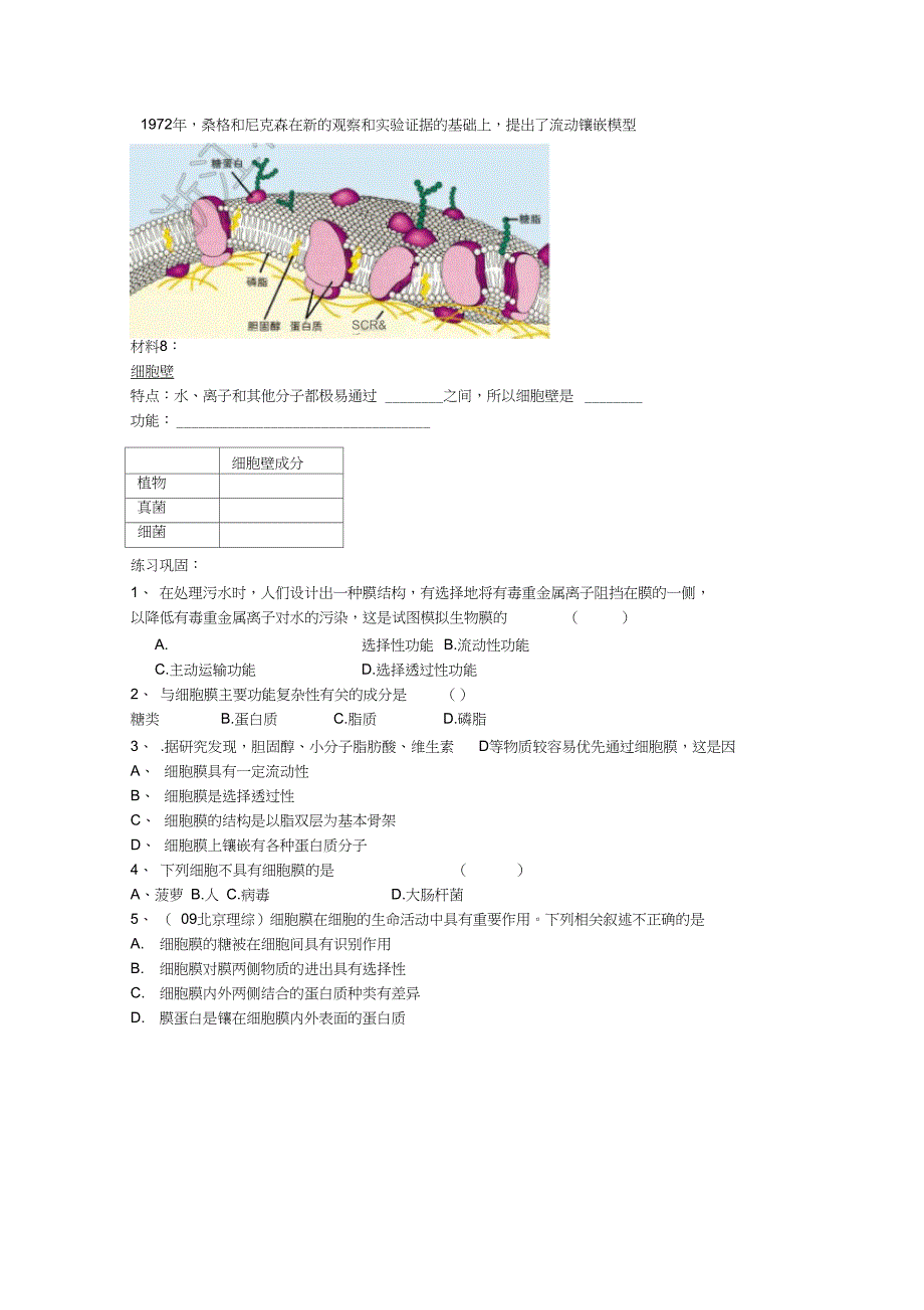 2.2细胞膜和细胞壁学案_第2页