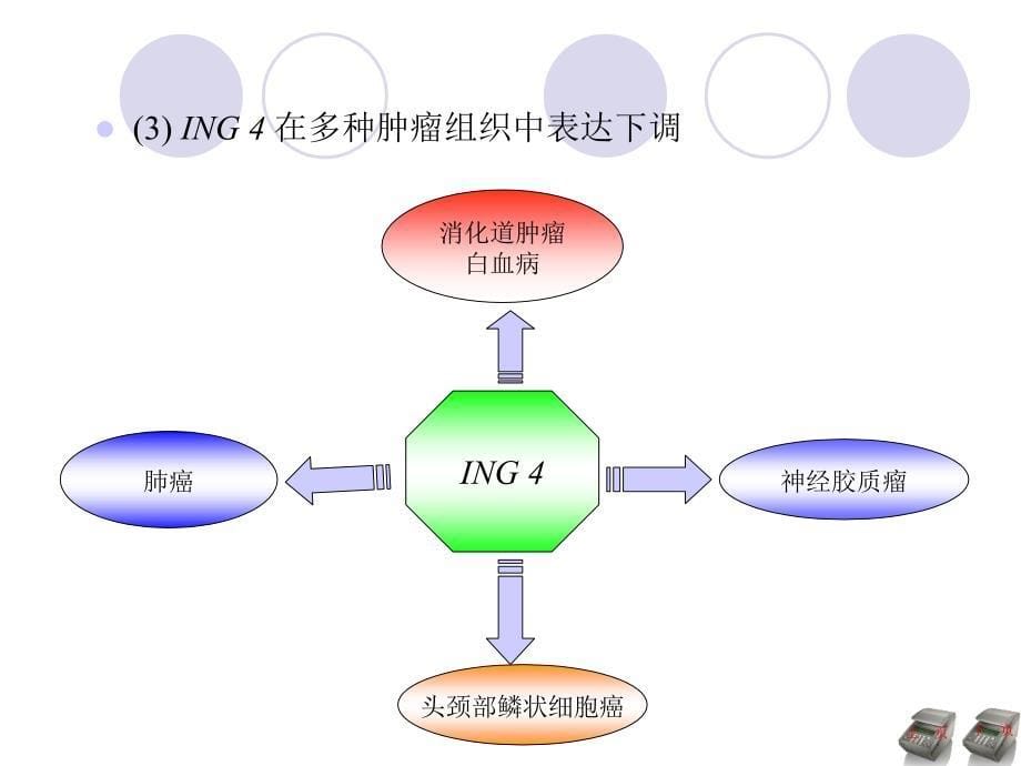 医学业答辩幻灯片样板_第5页