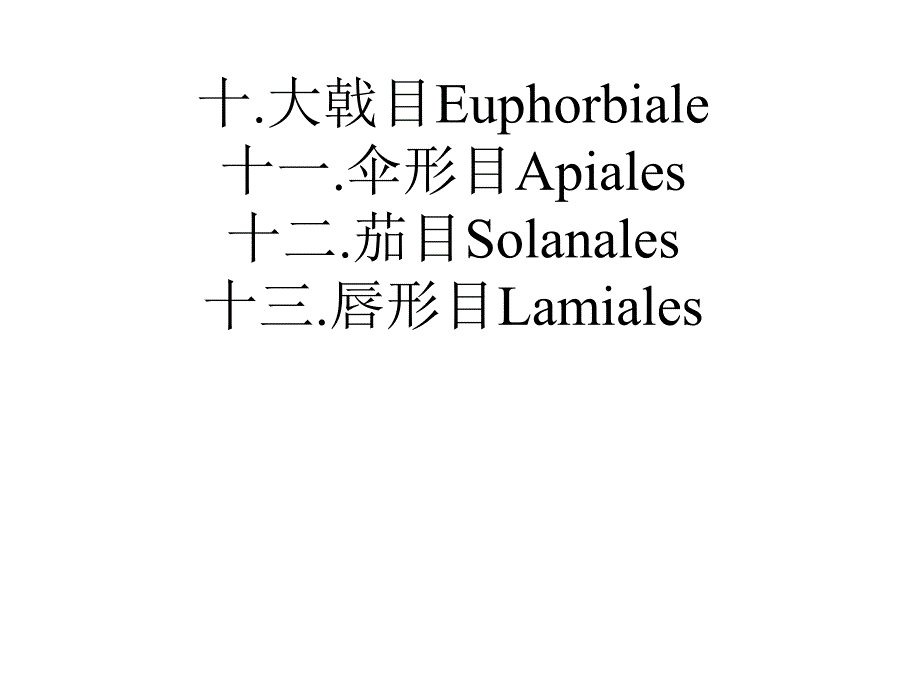 植物学教学课件：大戟目Euphorbiale_第1页