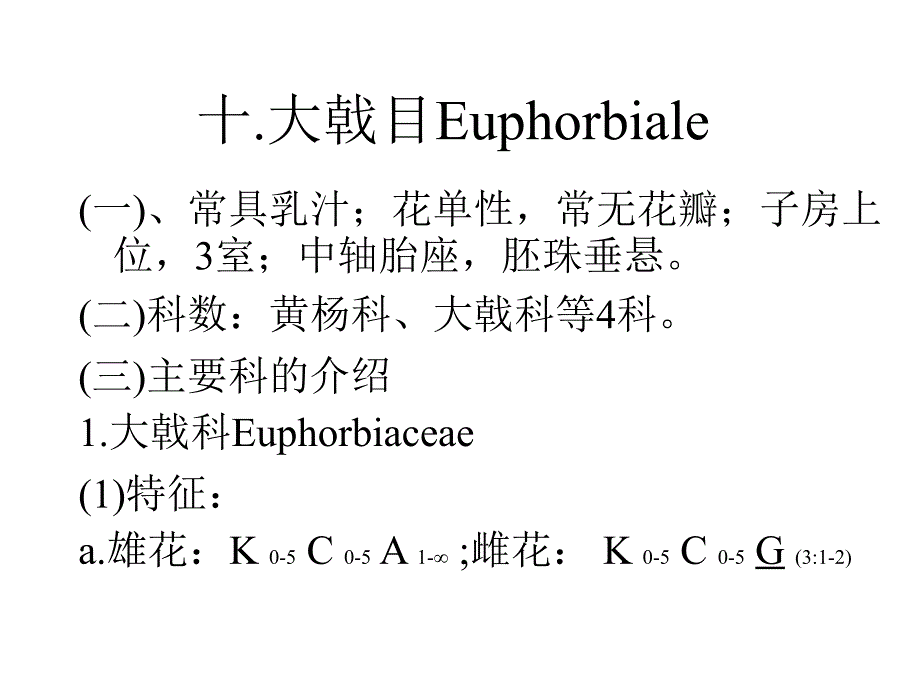 植物学教学课件：大戟目Euphorbiale_第2页