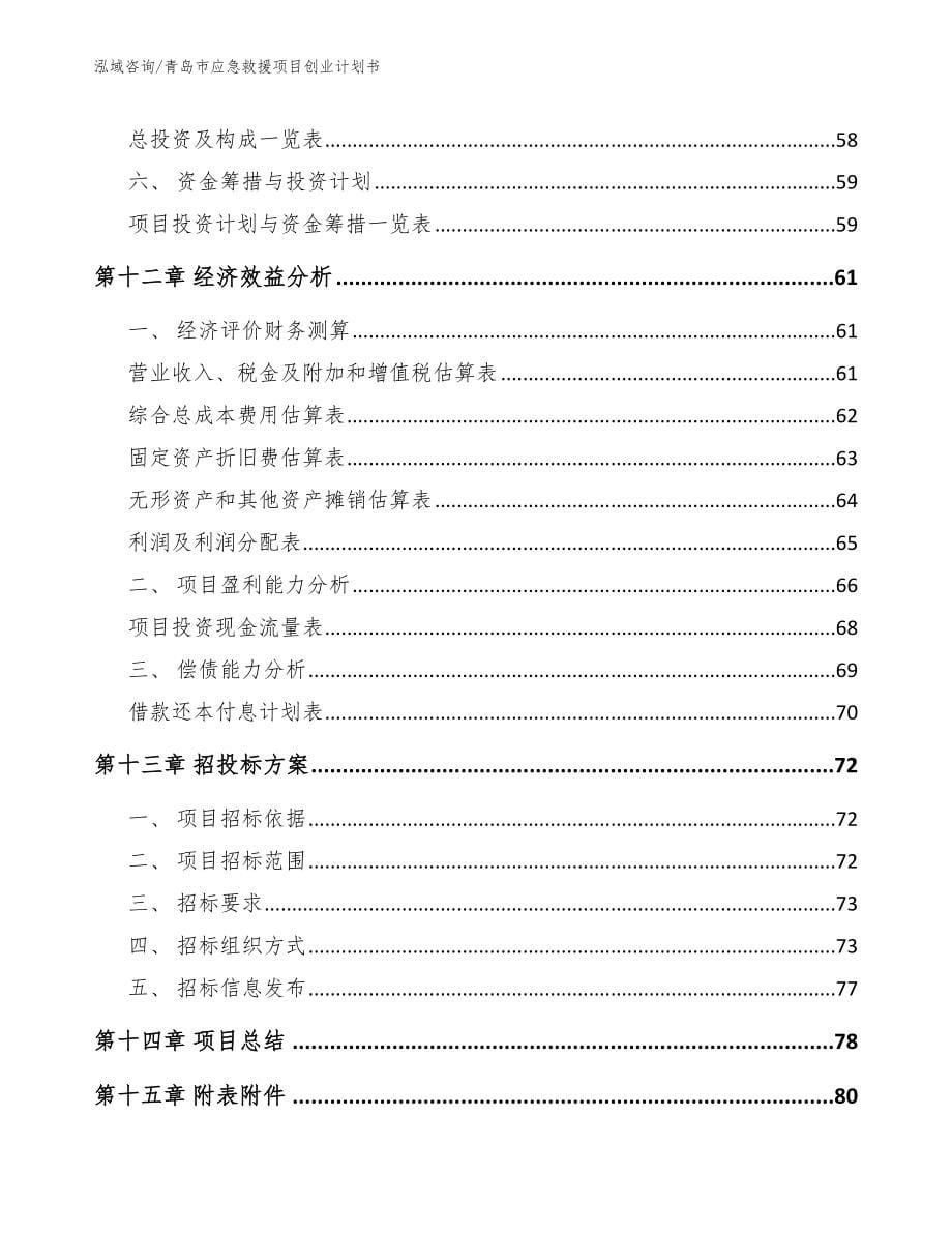 青岛市应急救援项目创业计划书（模板范本）_第5页