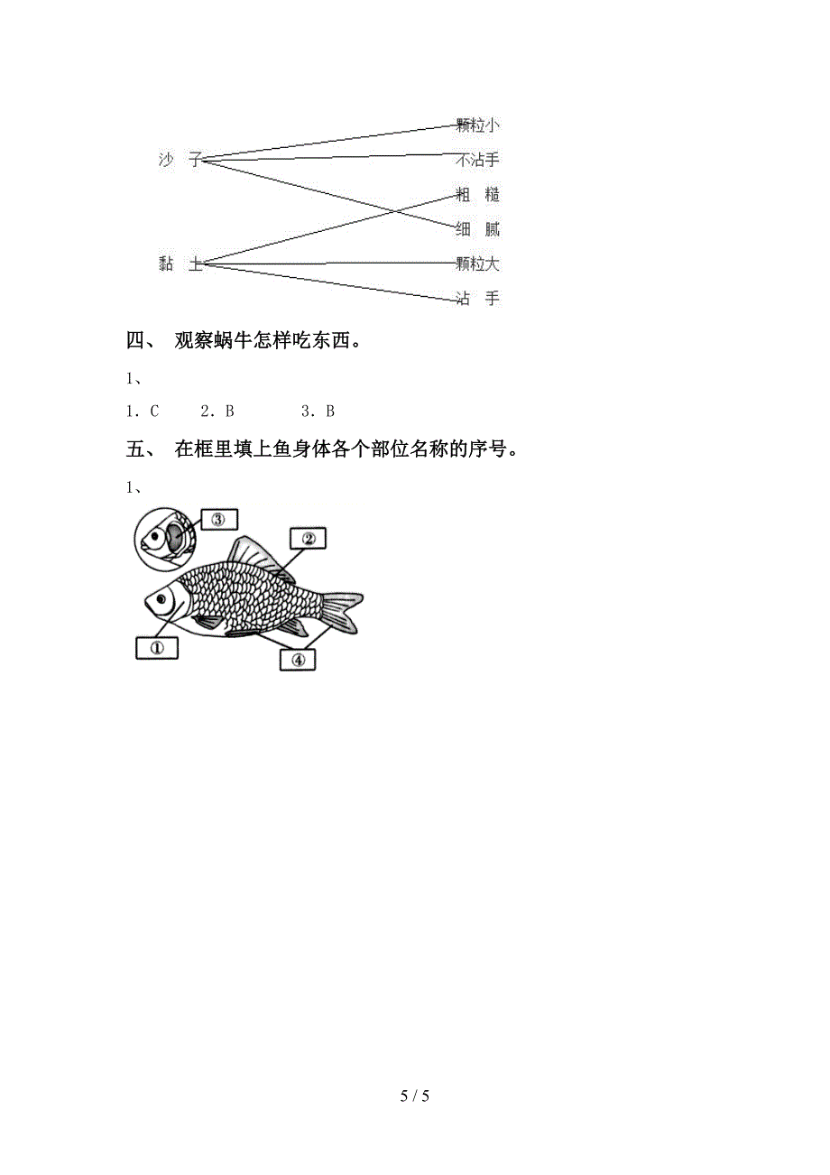 2022年人教版一年级科学上册期中测试卷.doc_第5页