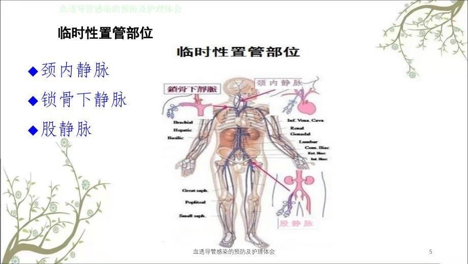 血透导管感染的预防及护理体会课件_第5页