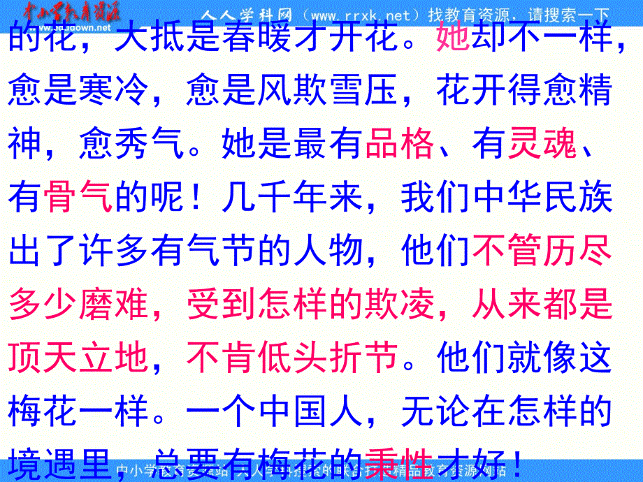 鲁教版四年级上册梅花魂课件_第4页