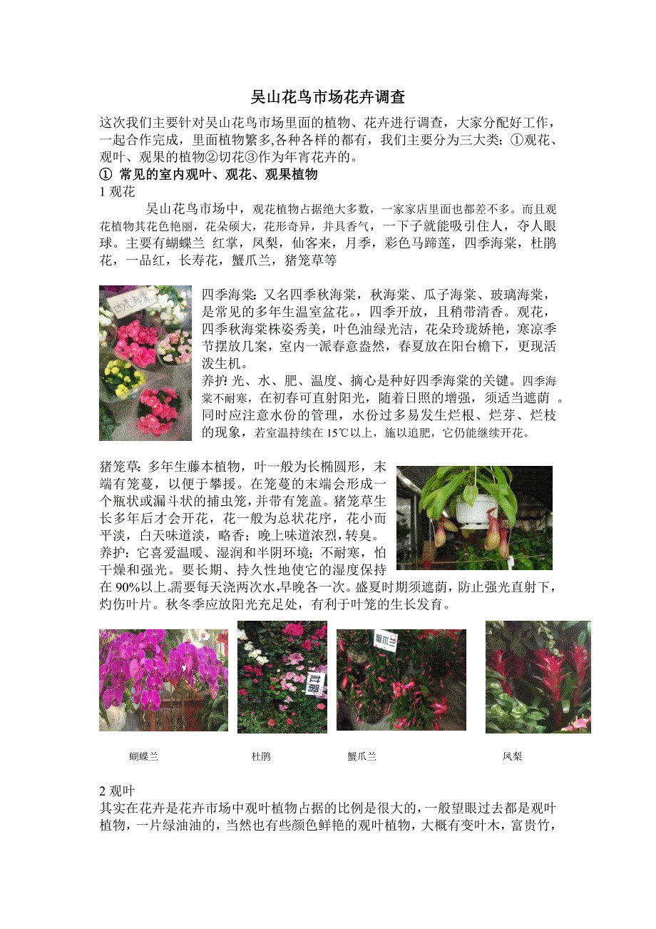 吴山花鸟市场花卉调查报告_第1页