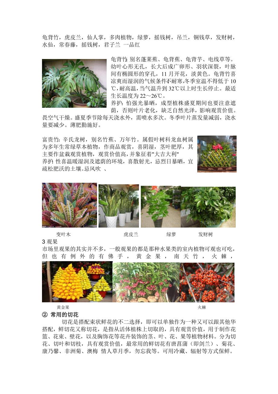吴山花鸟市场花卉调查报告_第2页