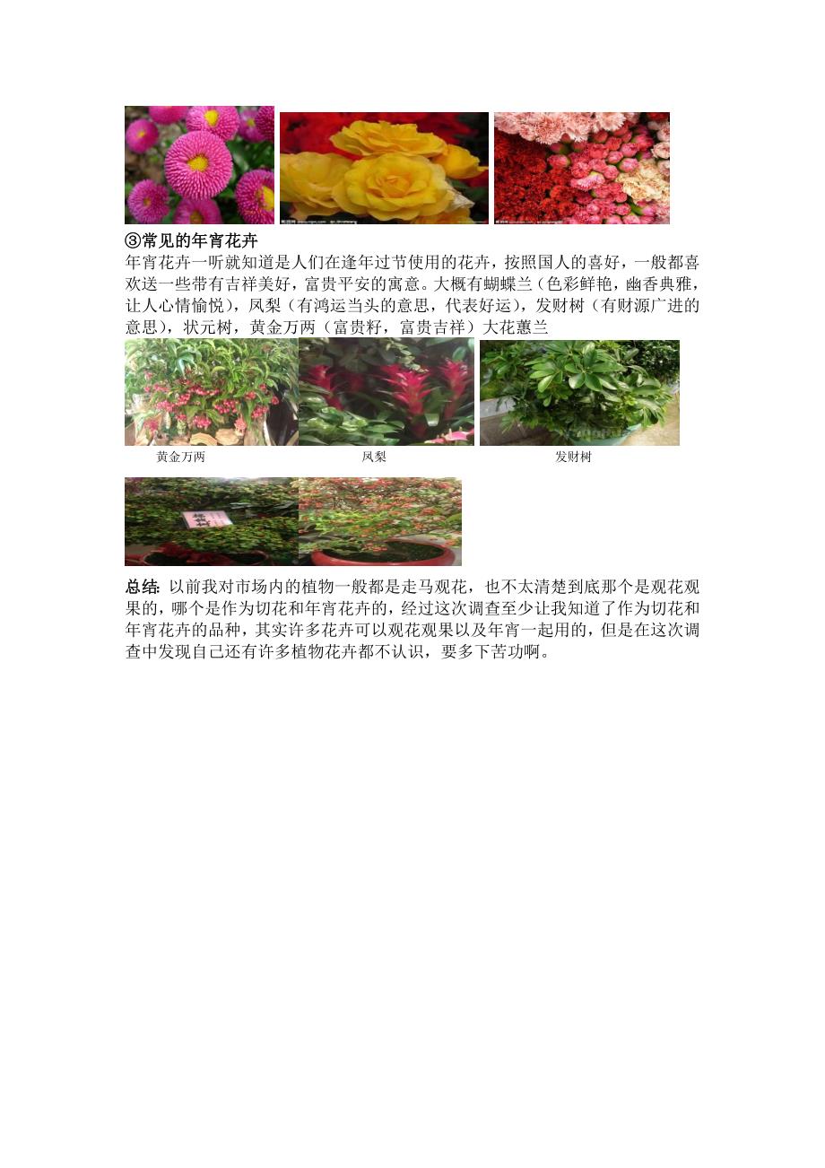 吴山花鸟市场花卉调查报告_第3页