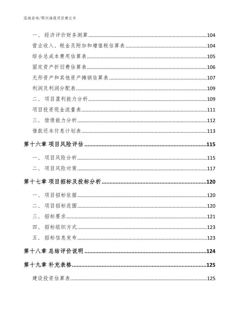鄂州海缆项目建议书_模板_第5页