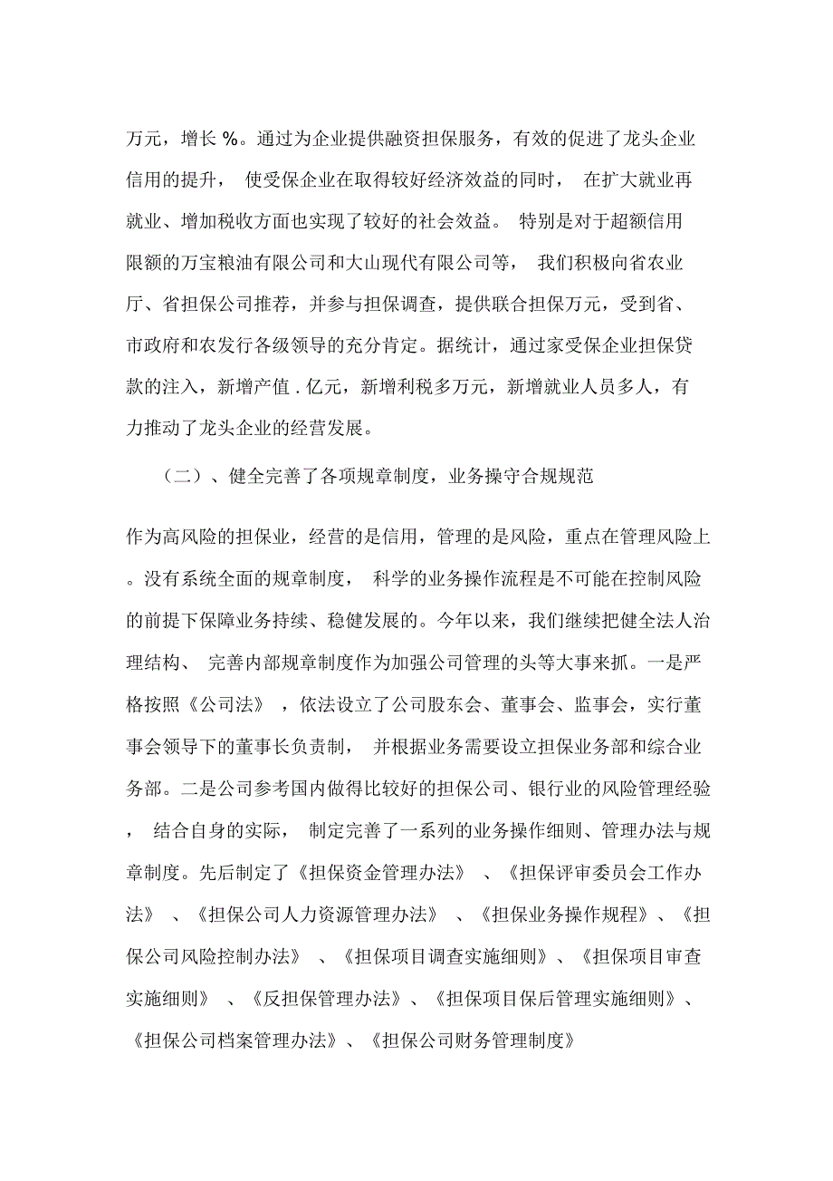 农业信用担保公司年度总结_第2页