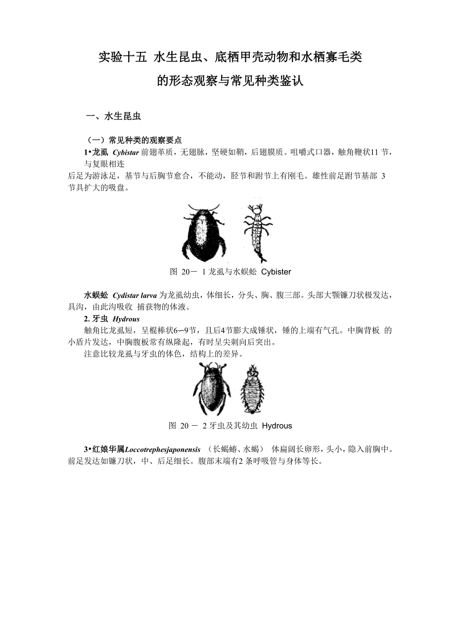 试验十五水生昆虫底栖甲壳动物和水栖寡毛类_第1页