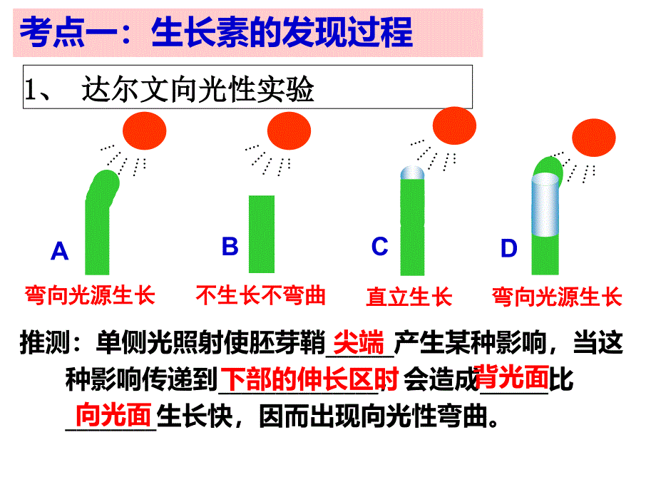 高三生物一轮复习植物的激素调节_第2页