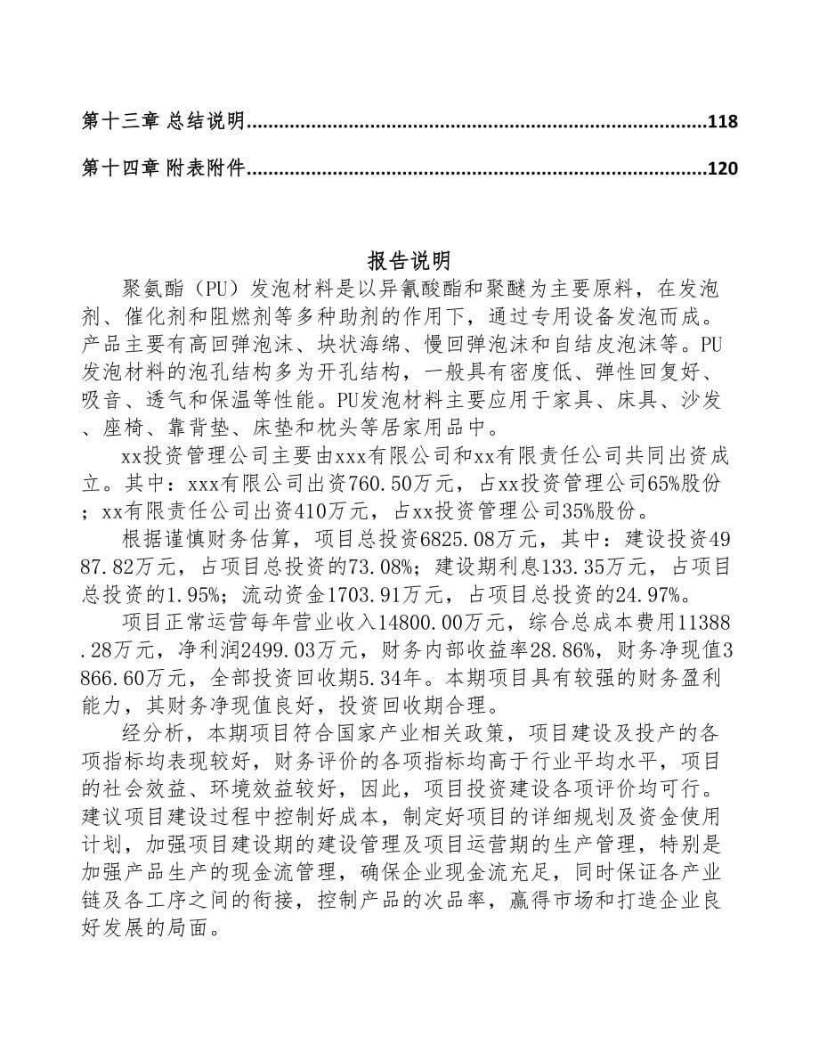 珠海关于成立发泡材料公司可行性研究报告(DOC 89页)_第5页