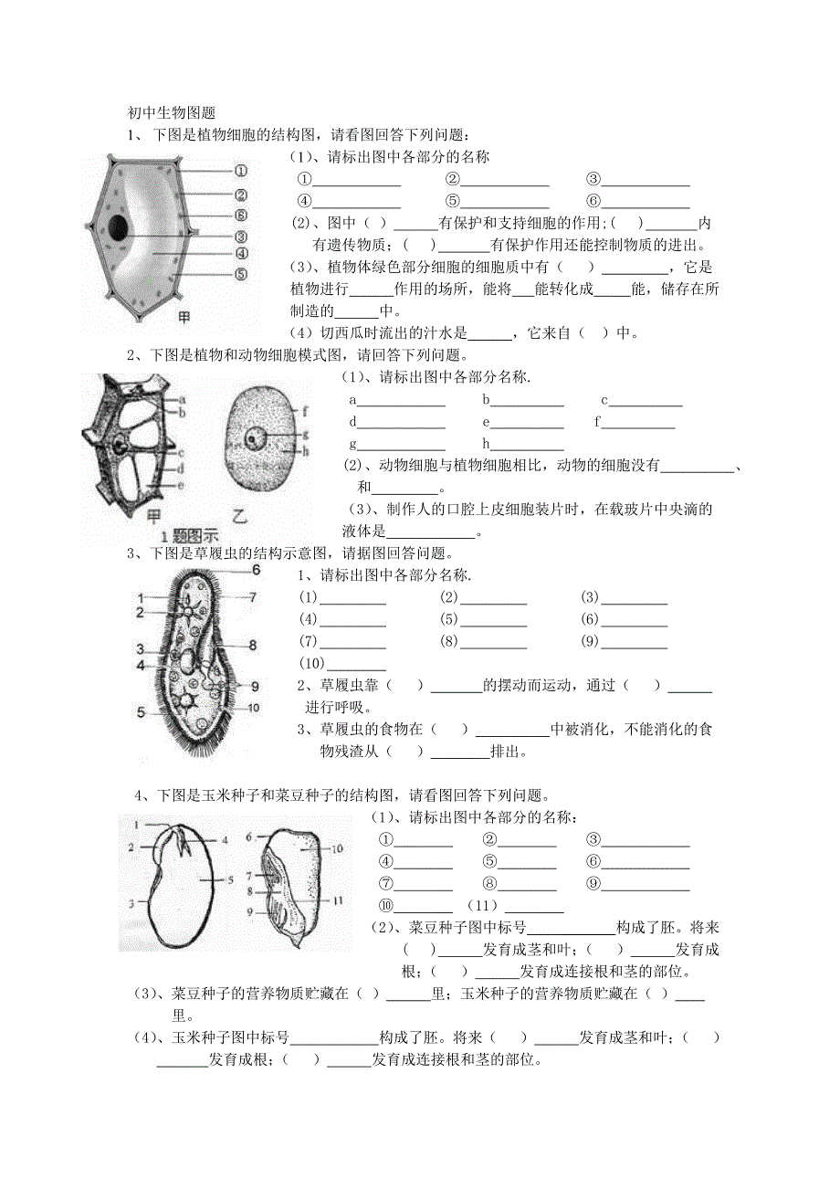 初中生物重点图题.doc_第1页