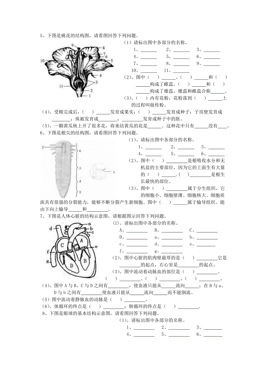 初中生物重点图题.doc_第2页