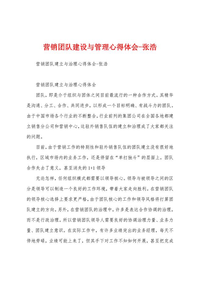 营销团队建设与管理心得体会张浩.docx