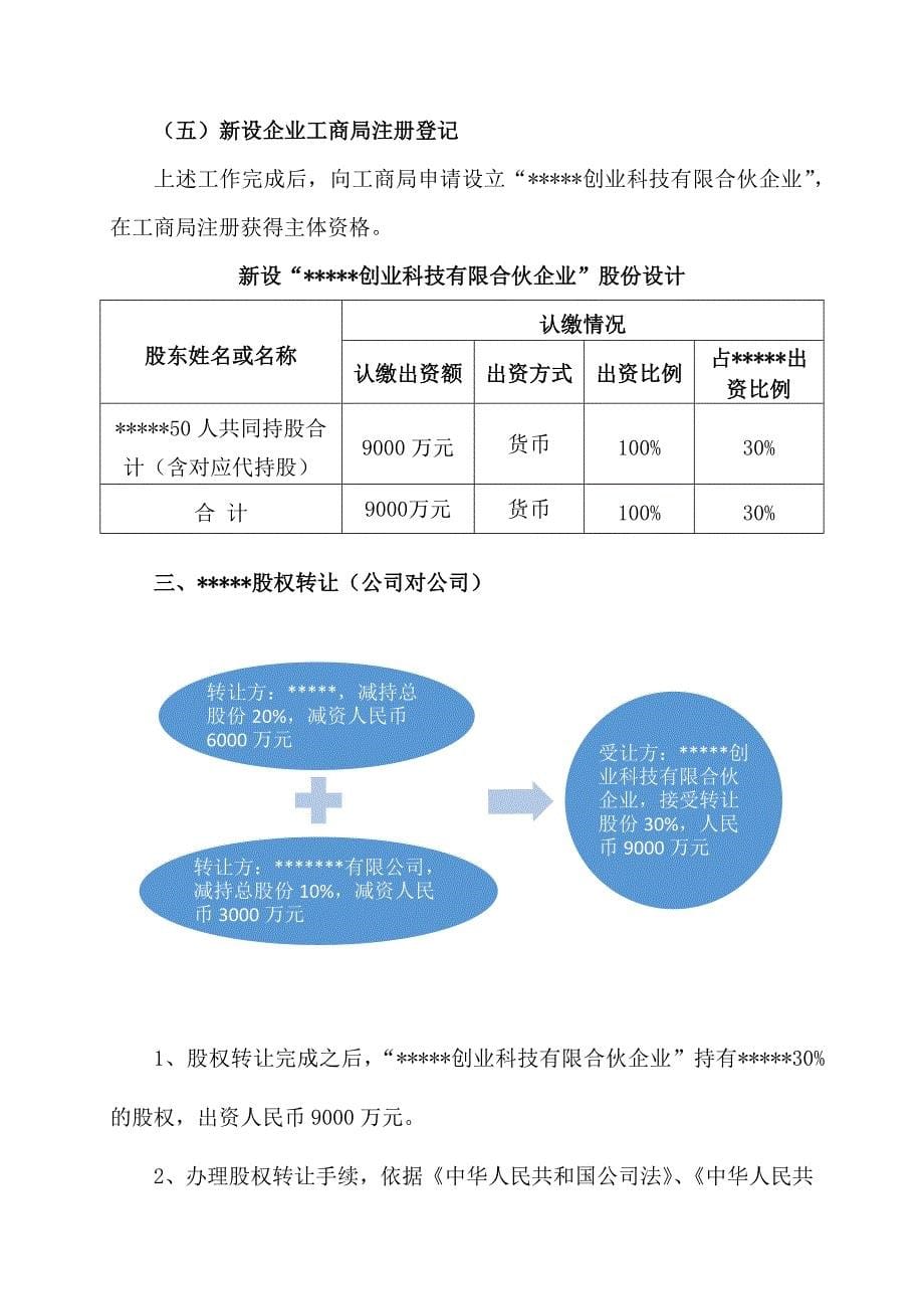 股权设计策划案_第5页