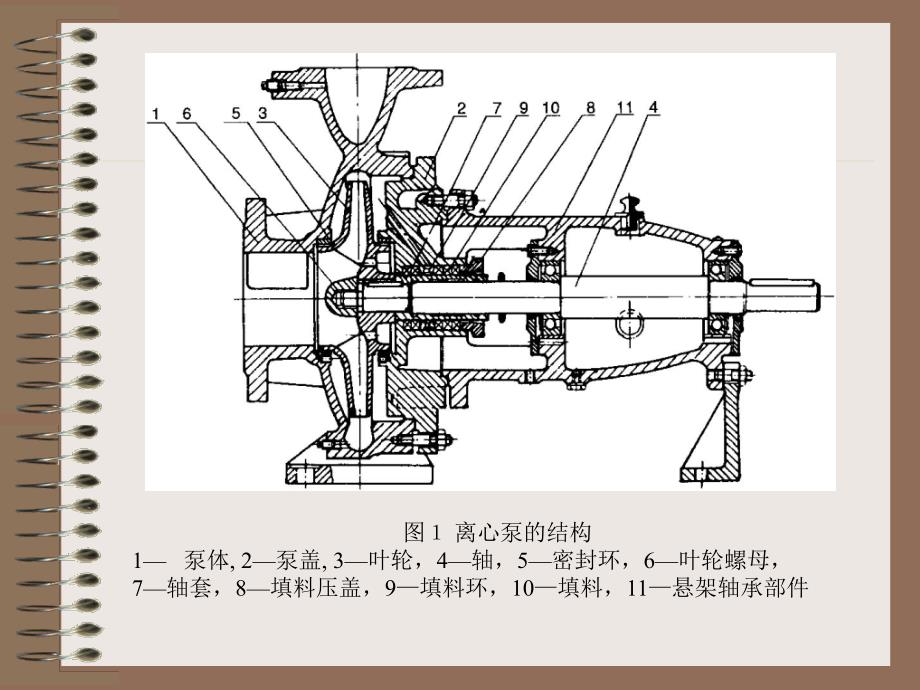 离心泵的拆装概要_第4页