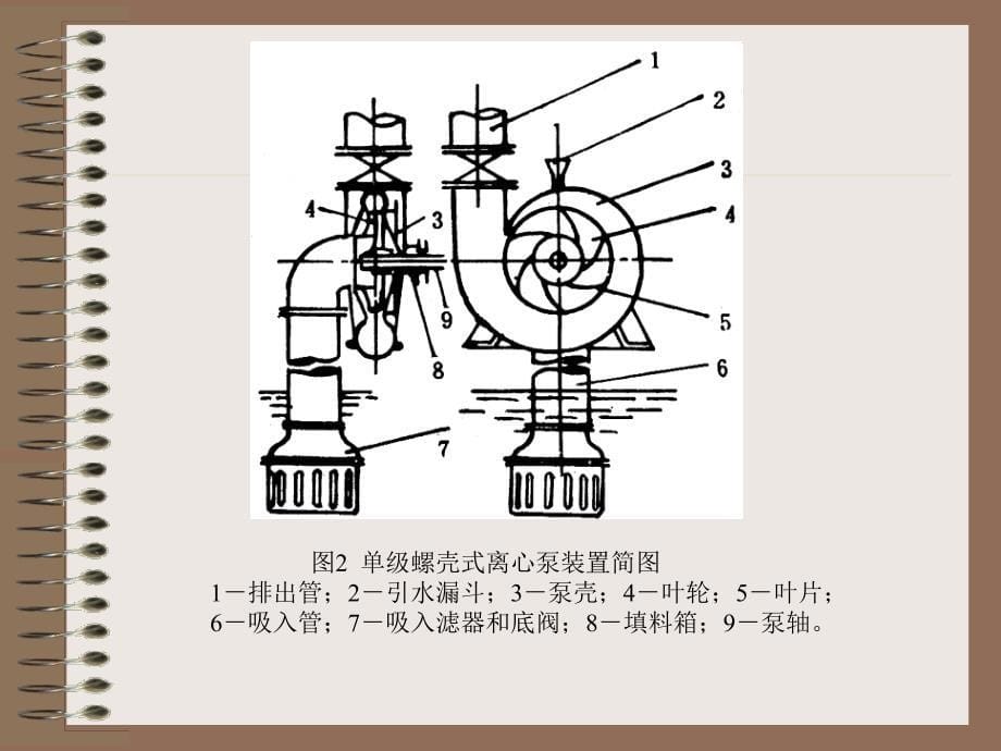 离心泵的拆装概要_第5页