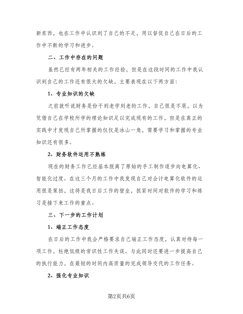 财务经理试用期工作总结例文（2篇）.doc_第2页