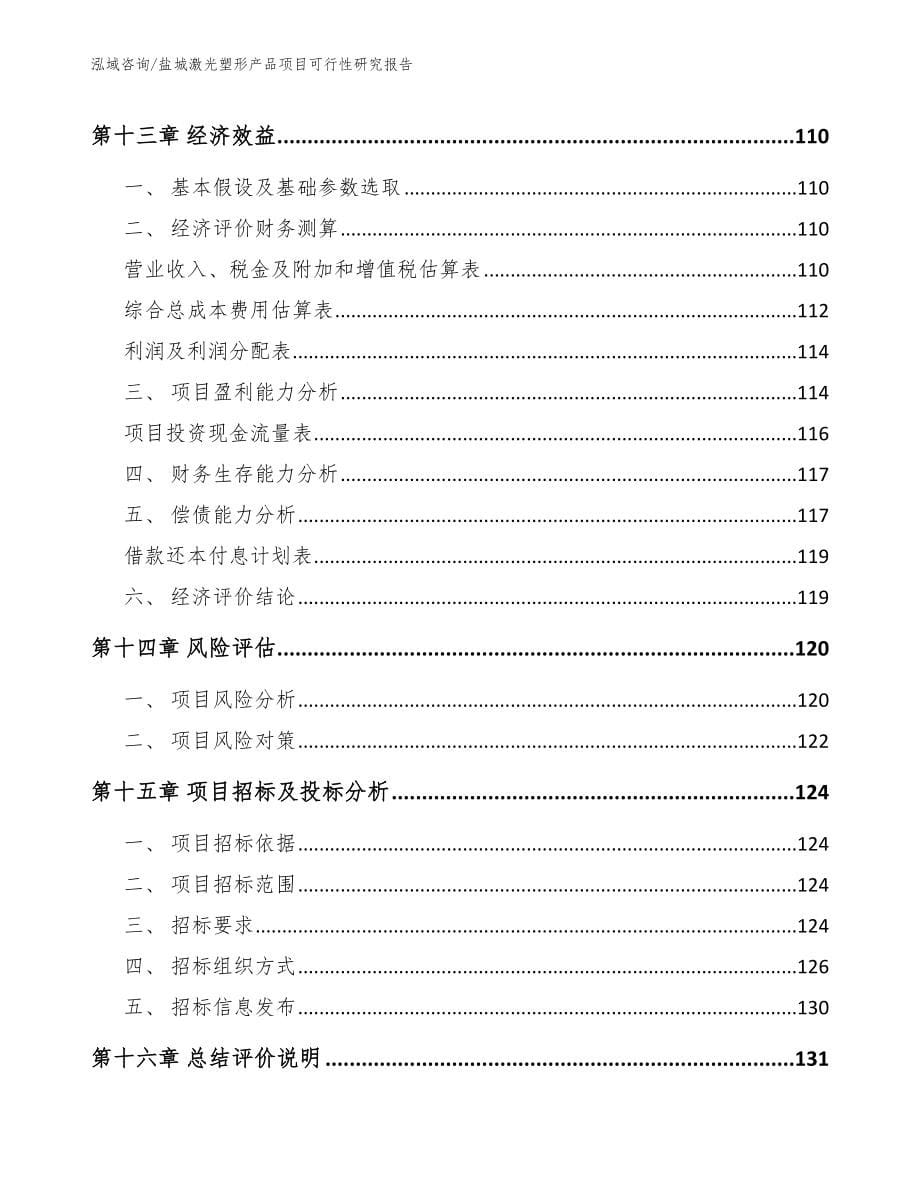 盐城激光塑形产品项目可行性研究报告（参考模板）_第5页