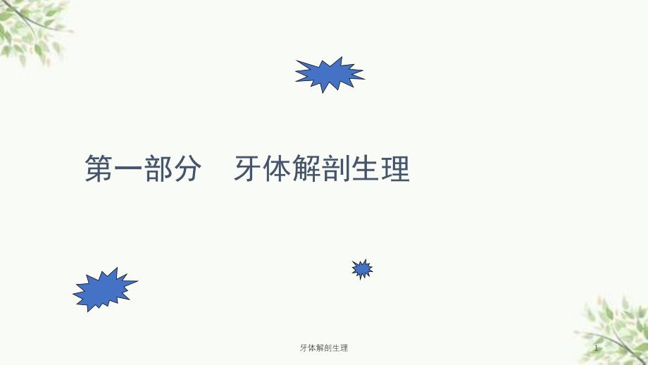 牙体解剖生理课件_第1页
