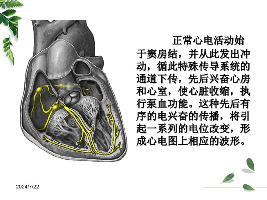 专科护士讲课心电图基础ppt课件-PPT精选_第3页