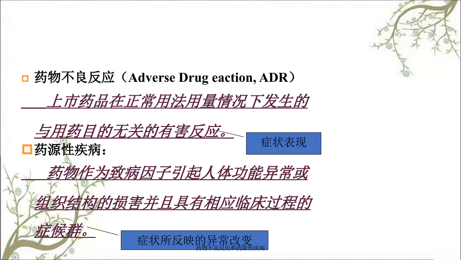 药物不良反应和药源性疾病课件_第2页