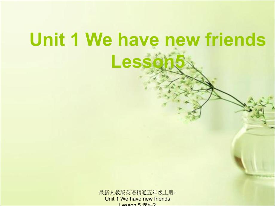 最新人教版英语精通五年级上册Unit1WehavenewfriendsLesson5课件2_第1页