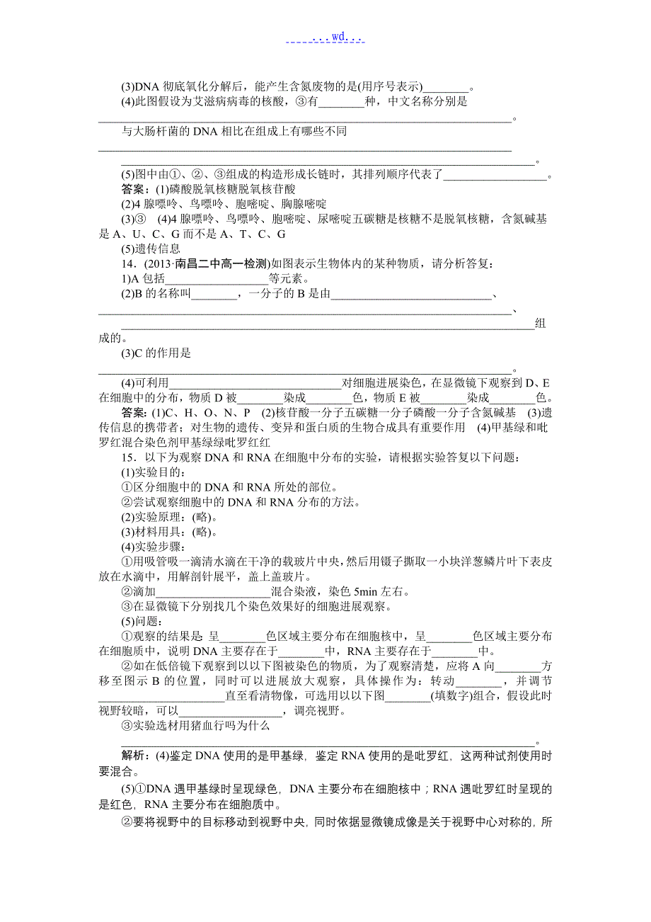 第二章第3节遗传信息的携带者——核酸习题带的答案_第4页