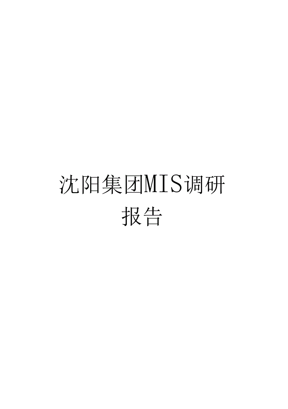 沈阳集团MIS调研报告_第1页