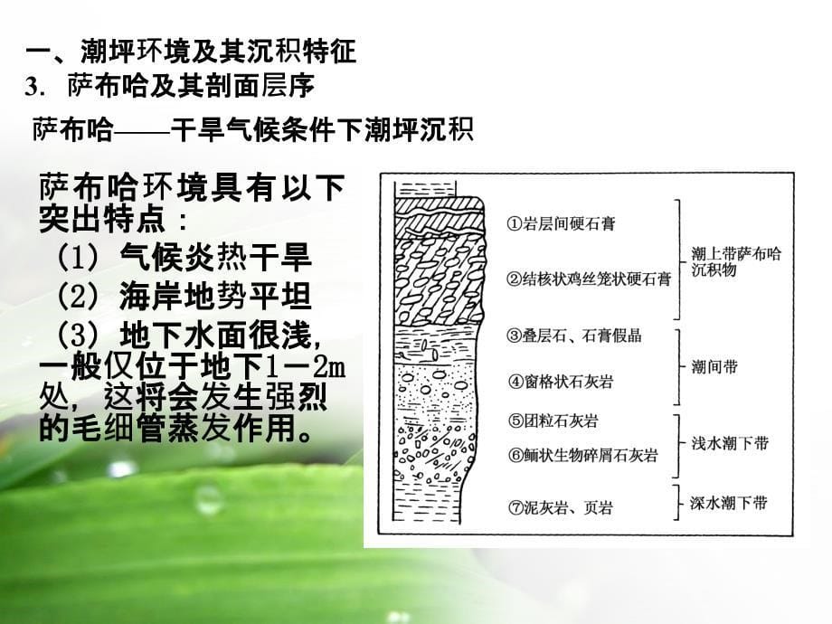 沉积学碳酸盐岩相模式CH08碳酸盐岩沉积相_第5页