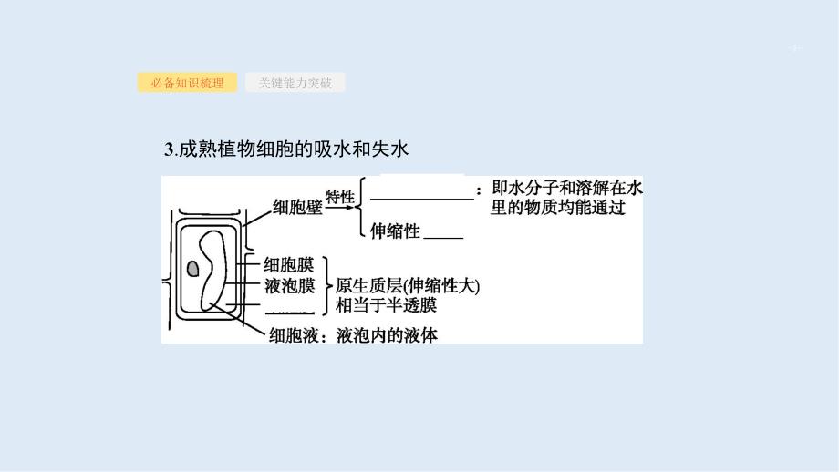 高考生物二轮复习课件：第2单元细胞的基本结构细胞的物质输入和输出7物质跨膜运输的实例物质跨膜运输的方式_第4页