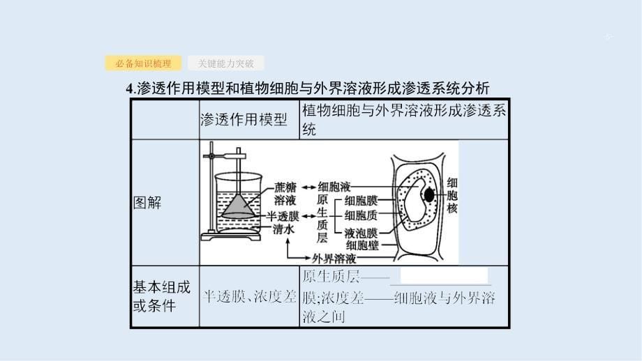 高考生物二轮复习课件：第2单元细胞的基本结构细胞的物质输入和输出7物质跨膜运输的实例物质跨膜运输的方式_第5页