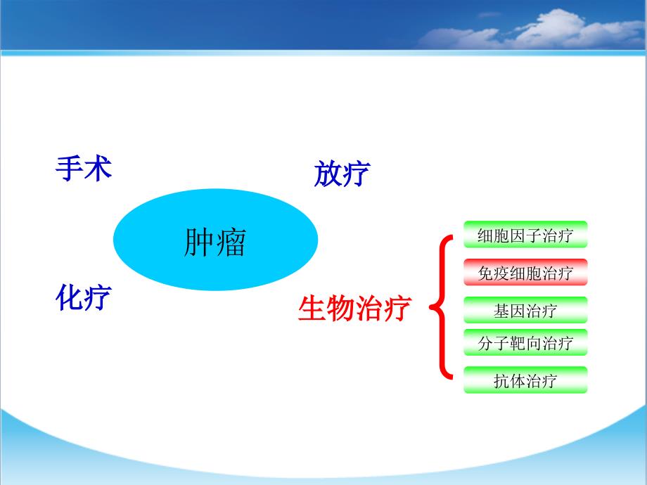 CIK细胞免疫治疗_第3页