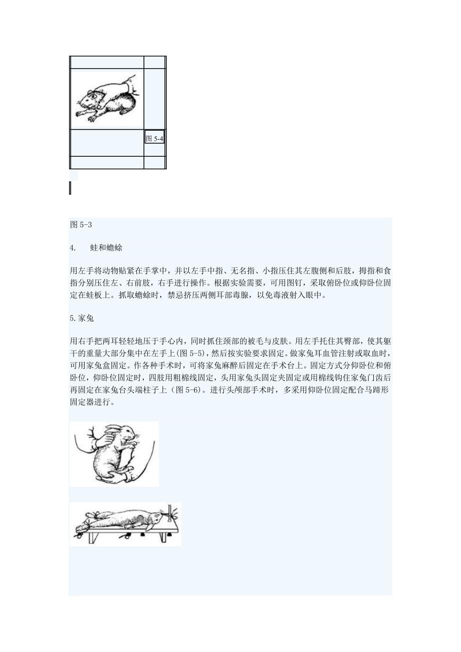 动物实验的基本操作_第2页