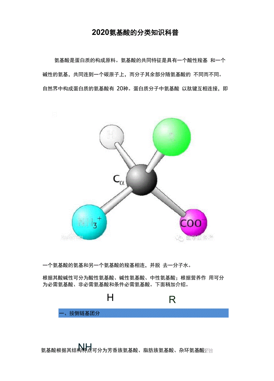 2020氨基酸的分类知识科普_第1页