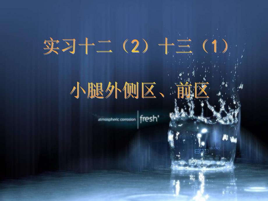 小腿前外侧区解剖及骨延长术_第1页
