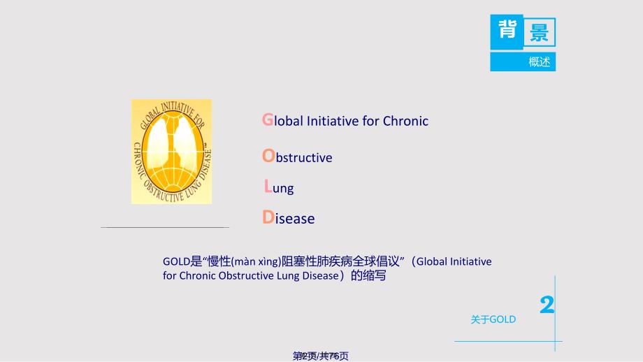 copd全球策略中文实用实用教案_第2页