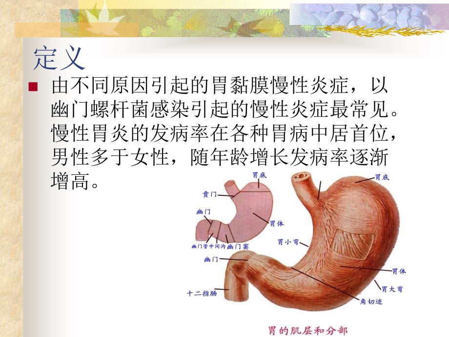 慢性胃炎患者的护理参考PPT_第3页