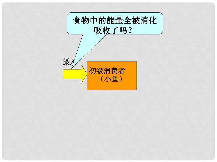 高中生物 第五章 第二节 生态系统的能量流动课件5 新人教版必修3_第4页