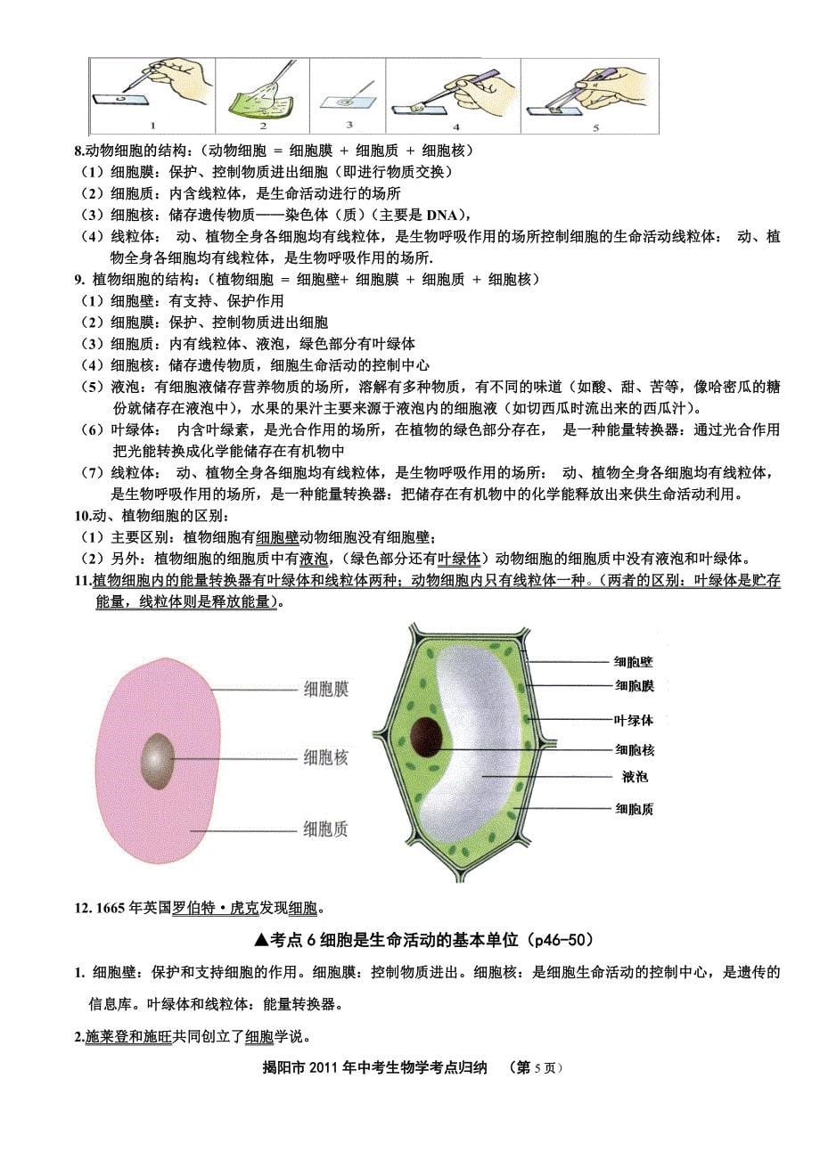 揭阳市2011年中考生物学考点归纳.doc_第5页