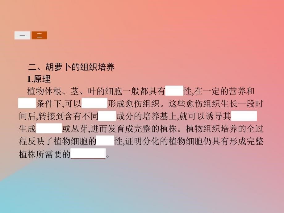 2018-2019高中生物 第4章 现代生物技术 4.1 植物的组织培养课件 北师大版选修1_第5页