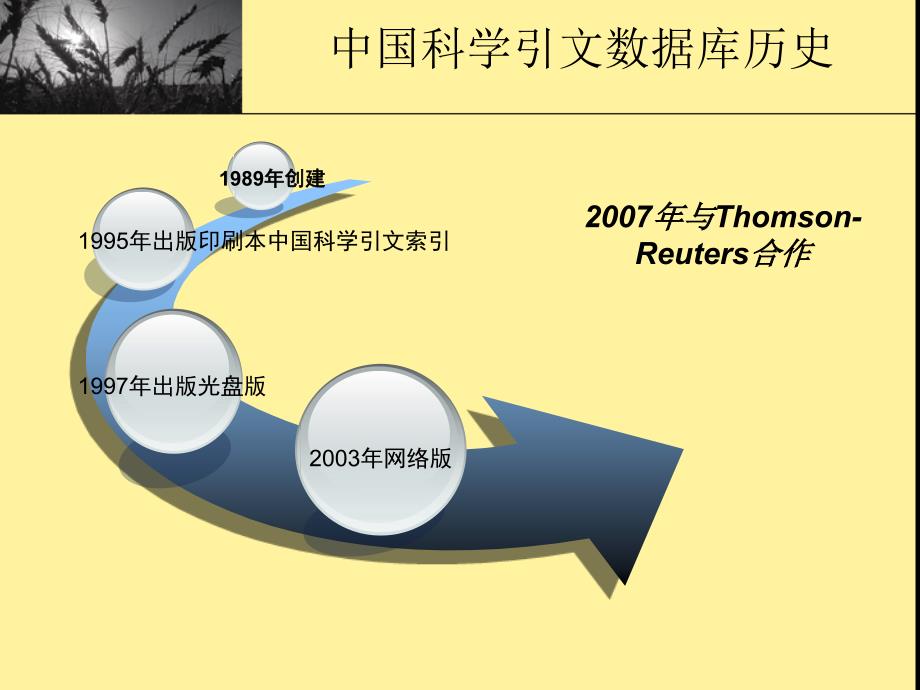 中国科学引文数据库--被誉为中国SCI的中国科学引文数据库_第3页