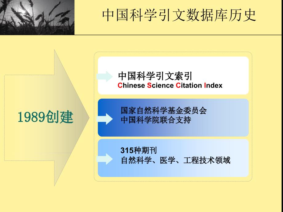 中国科学引文数据库--被誉为中国SCI的中国科学引文数据库_第4页