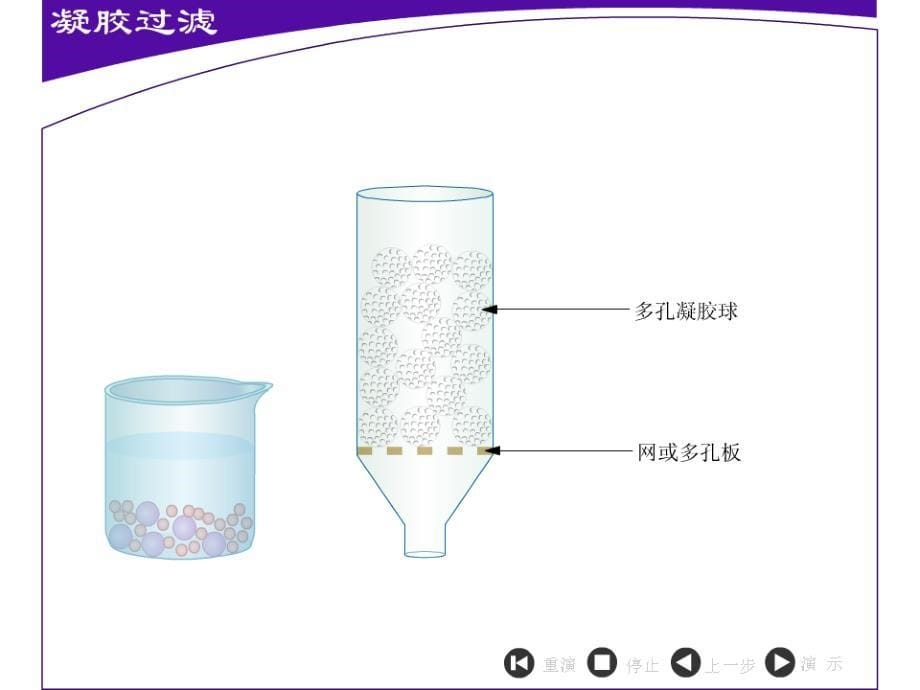 生物：5.3血红蛋白的提取和分离课件(新人教版选修1)_第5页